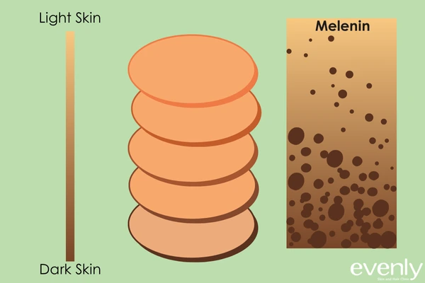 Melanin in the skin