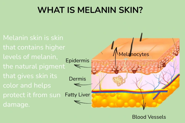 What is melanin skin? Scientific image