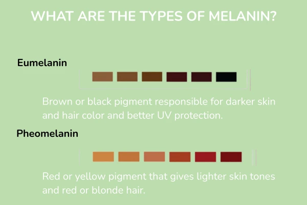 Types of melanin skin