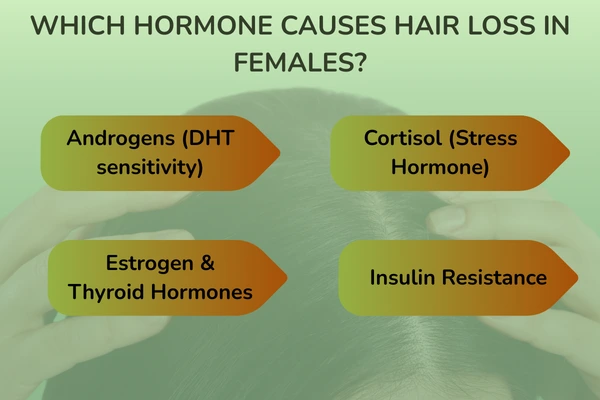 List of hormones that triggers hormonal hair loss