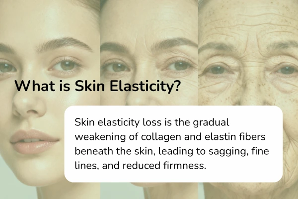 skin elasticity
