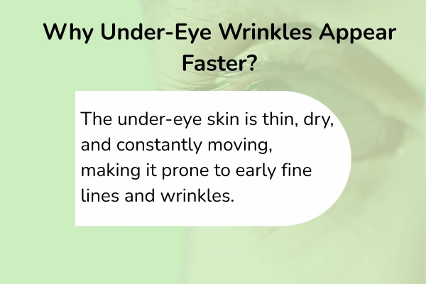 An image that tells why the under eye wrinkles appear faster than other part of the face