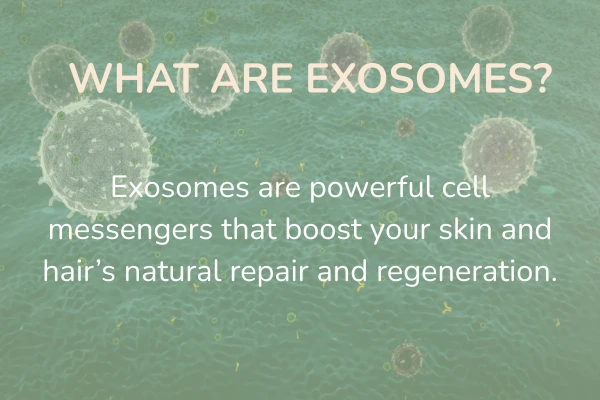 What are exosomes?